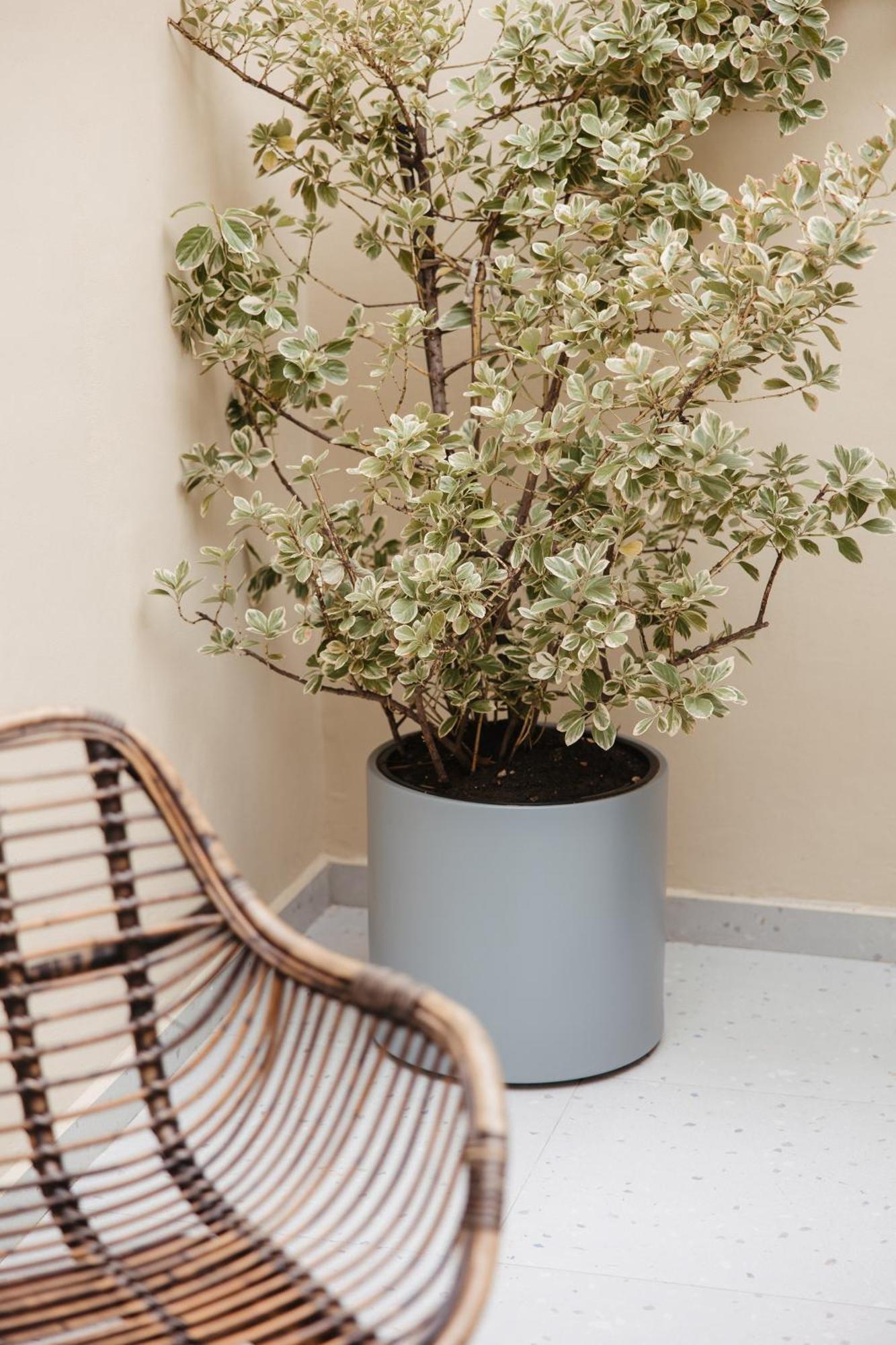 טיראנה Greygreen By Holistay מראה חיצוני תמונה